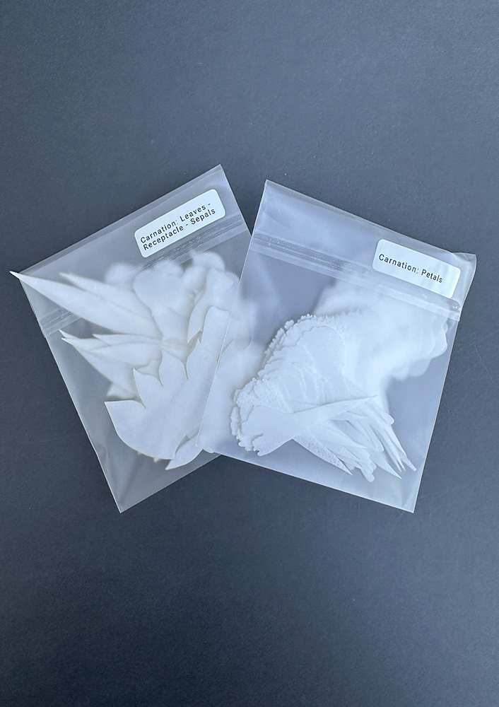 Pre-Cut Wafer Paper Carnations Bag - Chokolate Designs