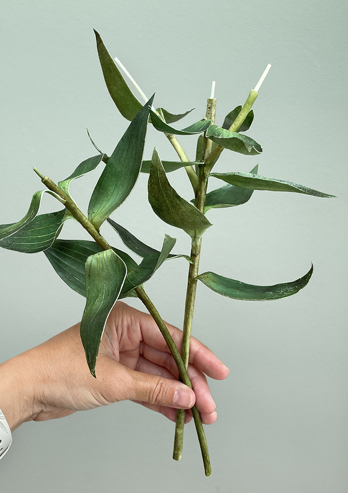Lily Stargazer Leaves Template - Chokolate Designs
