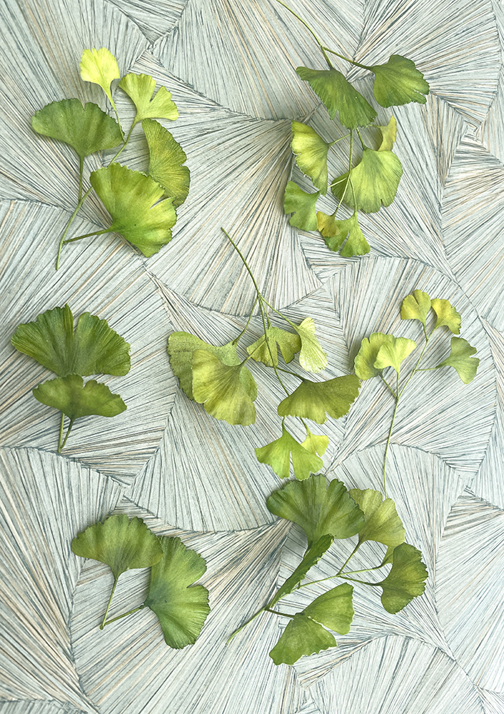 Ginkgo Wafer Paper - Chokolate Designs
