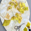 Ginkgo Biloba Template - Chokolate Designs
