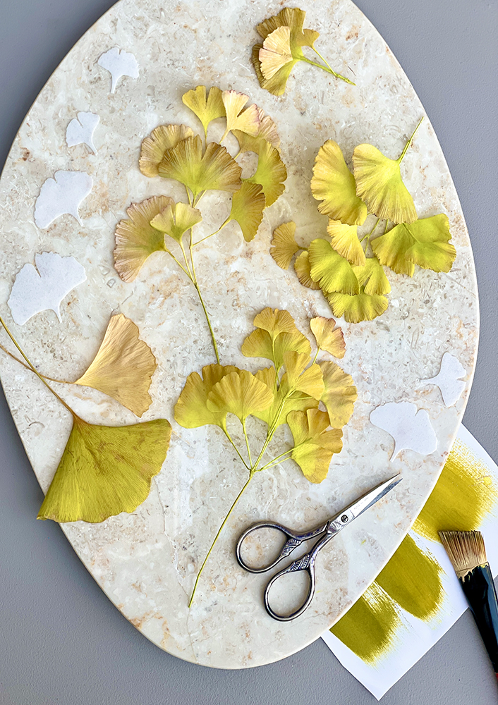 Ginkgo Biloba Template - Chokolate Designs