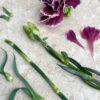 Pre-Cut Wafer Paper Carnations Details - Chokolate Designs