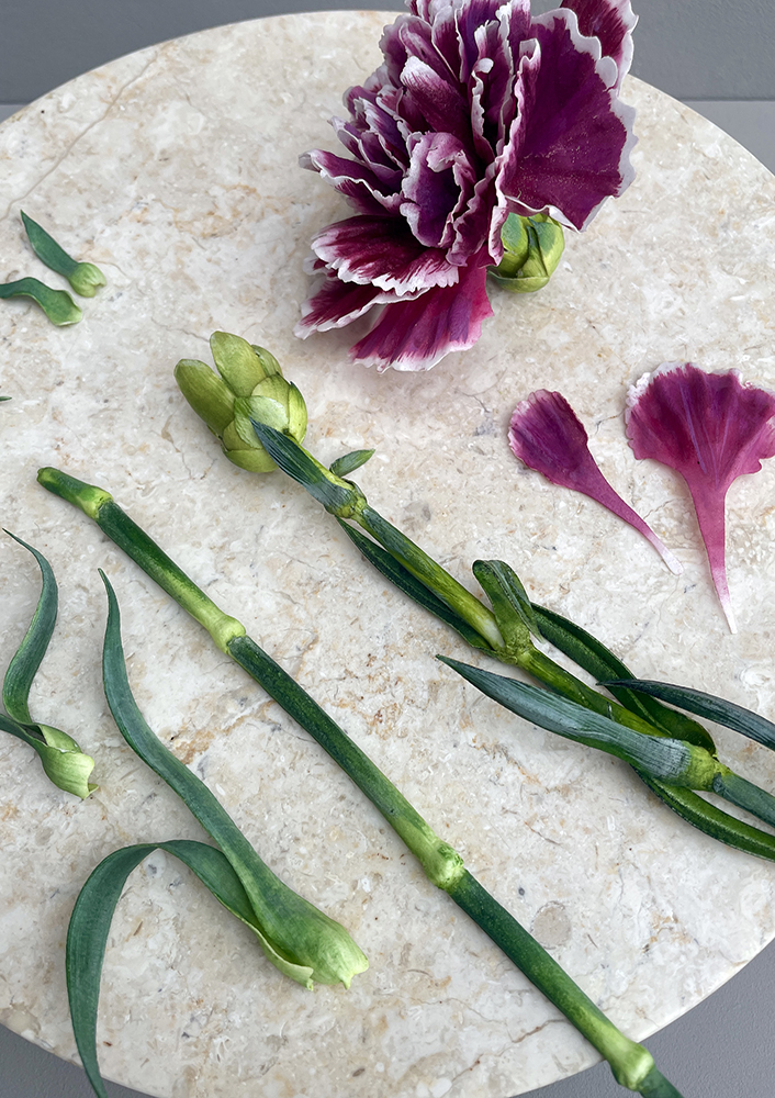 Pre-Cut Wafer Paper Carnations Details - Chokolate Designs