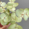 Eucalyptus Pre-cut detail - Chokolate Designs