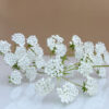 Queen Anne Lace Parts2 - Chokolate Designs