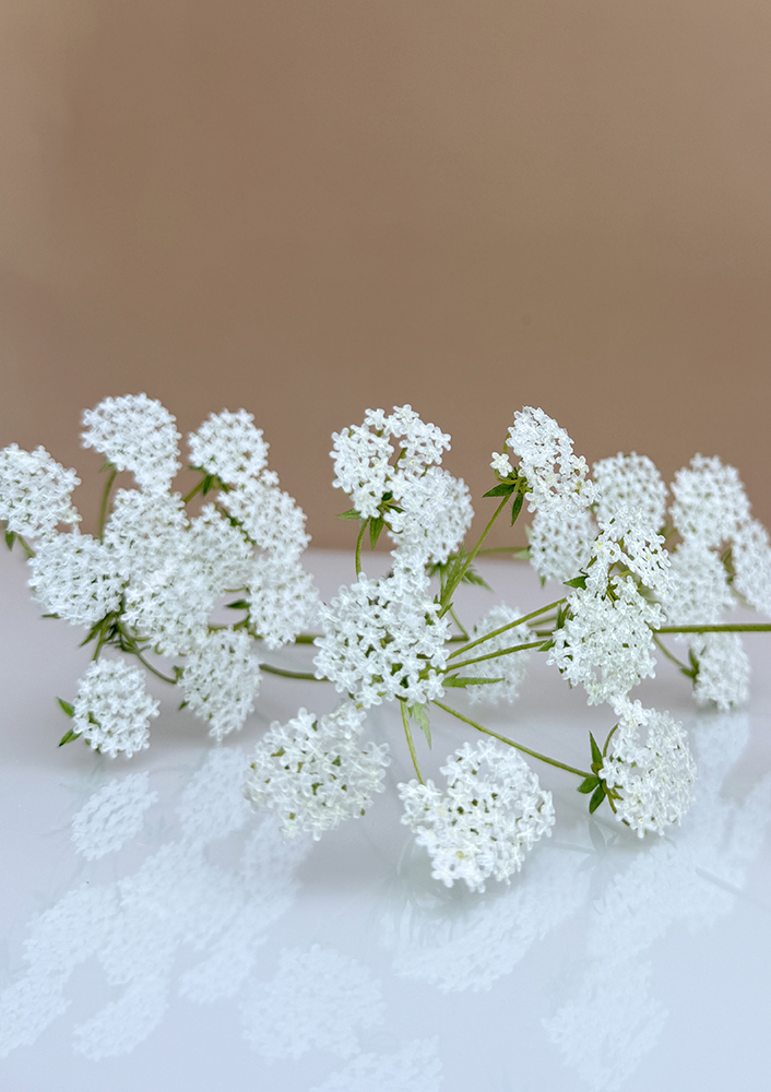 Queen Anne Lace Parts2 - Chokolate Designs