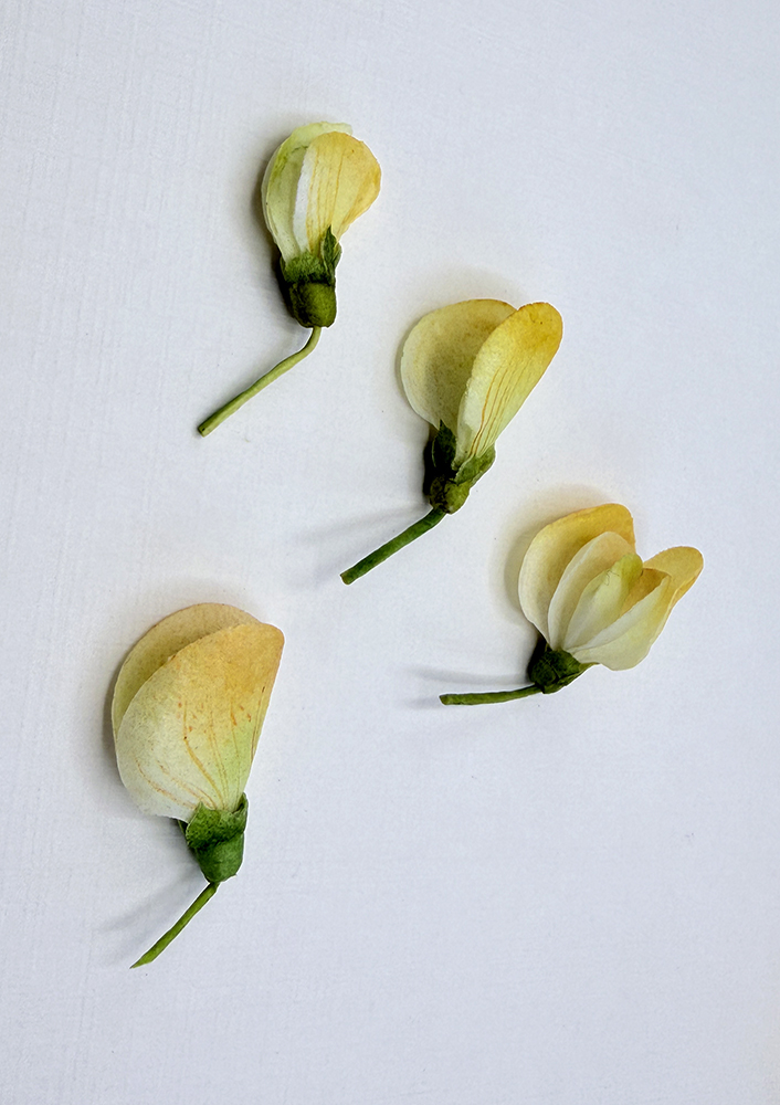 Wafer Paper Sweet Pea Buds - Chokolate Designs