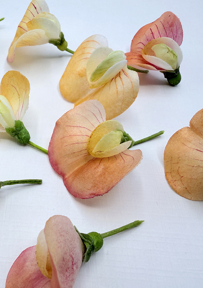 Wafer Paper Sweet Pea Petals - Chokolate Designs