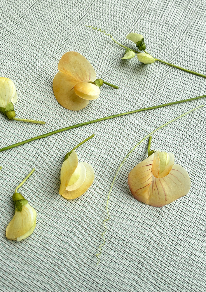 Wafer Paper Sweet Pea Threads - Chokolate Designs