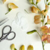 Wafer Paper Sweet Pea Template - Chokolate Designs