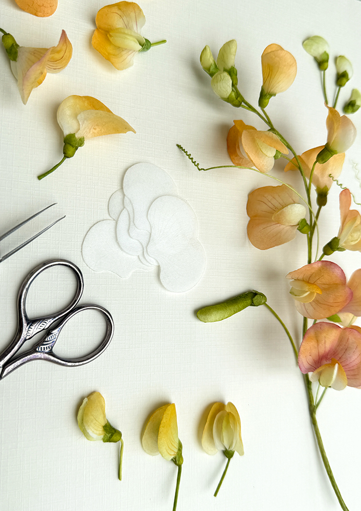 Wafer Paper Sweet Pea Template - Chokolate Designs