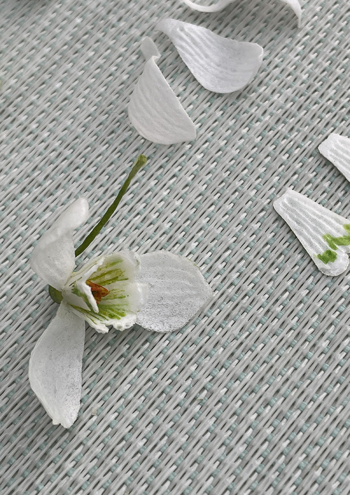 Wafer Paper Snowdrops Details
