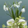 Wafer Paper Snowdrops Cake