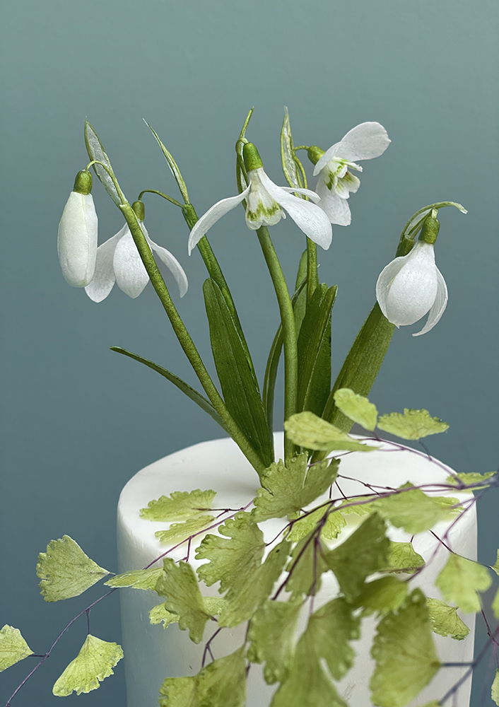 Wafer Paper Snowdrops Cake