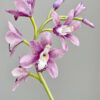 Cymbidium Pre-cut template - Chokolate Designs