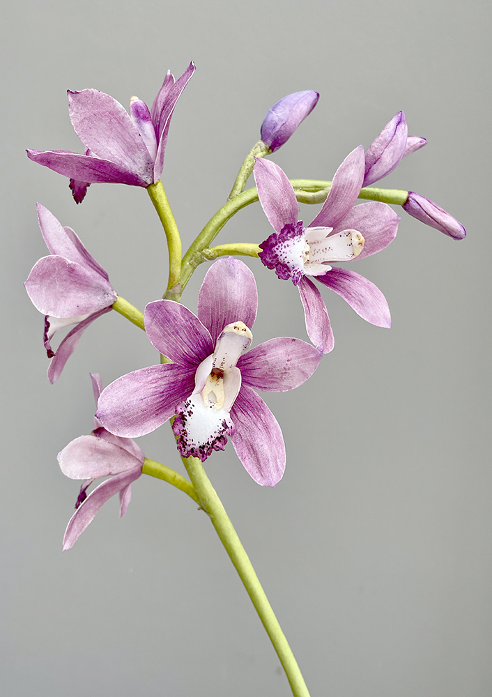 Cymbidium Pre-cut template - Chokolate Designs