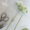 Queen Anne Lace Parts - Chokolate Designs