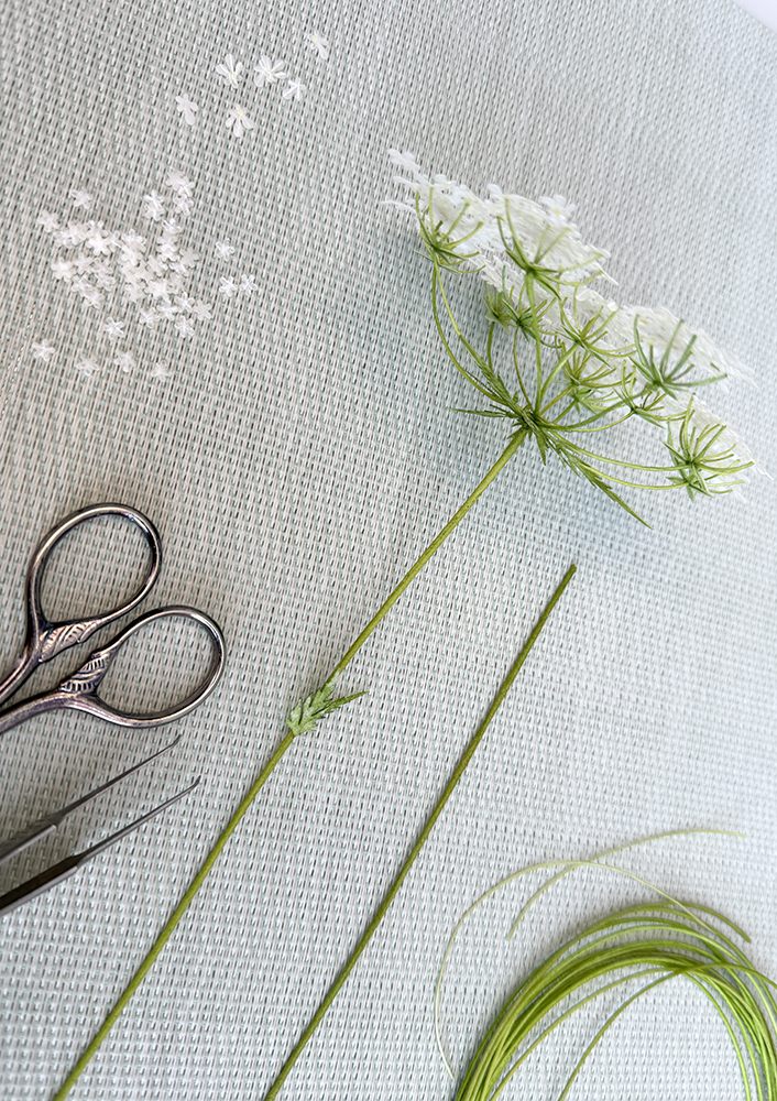 Queen Anne Lace Parts - Chokolate Designs