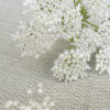 Queen Anne Lace Details - Chokolate Designs
