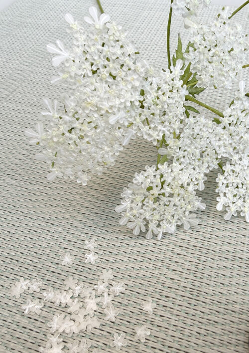 Wafer Paper Queen Anne’s Lace Video