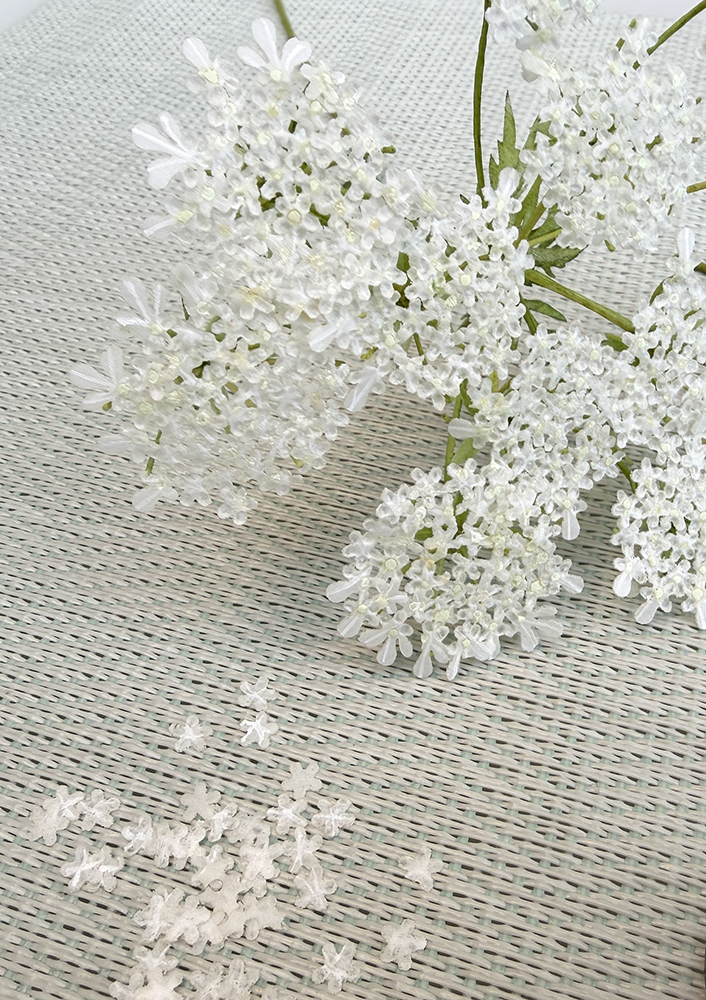 Queen Anne Lace Details - Chokolate Designs