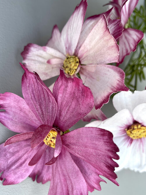 Pre-Cut Wafer Paper Cosmos Flowers