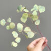 Eucalyptus Wafer Paper - Chokolate Designs