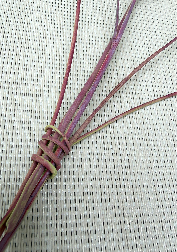 Wafer Paper Eucalyptus Stem - Chokolate Designs