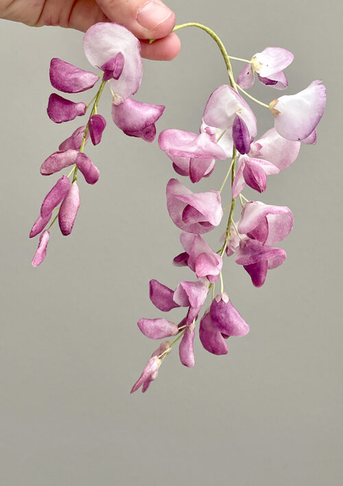 Wisteria Template