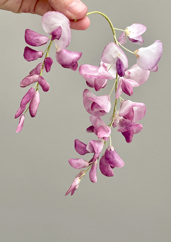 Wisteria Template Wafer Paper - Chokolate Designs