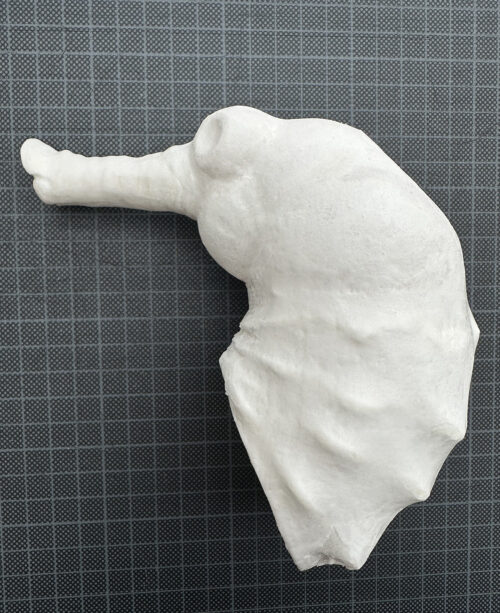 eBook Seahorse Wafer Paper