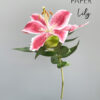 Lily Stargazer Template - Chokolate Designs