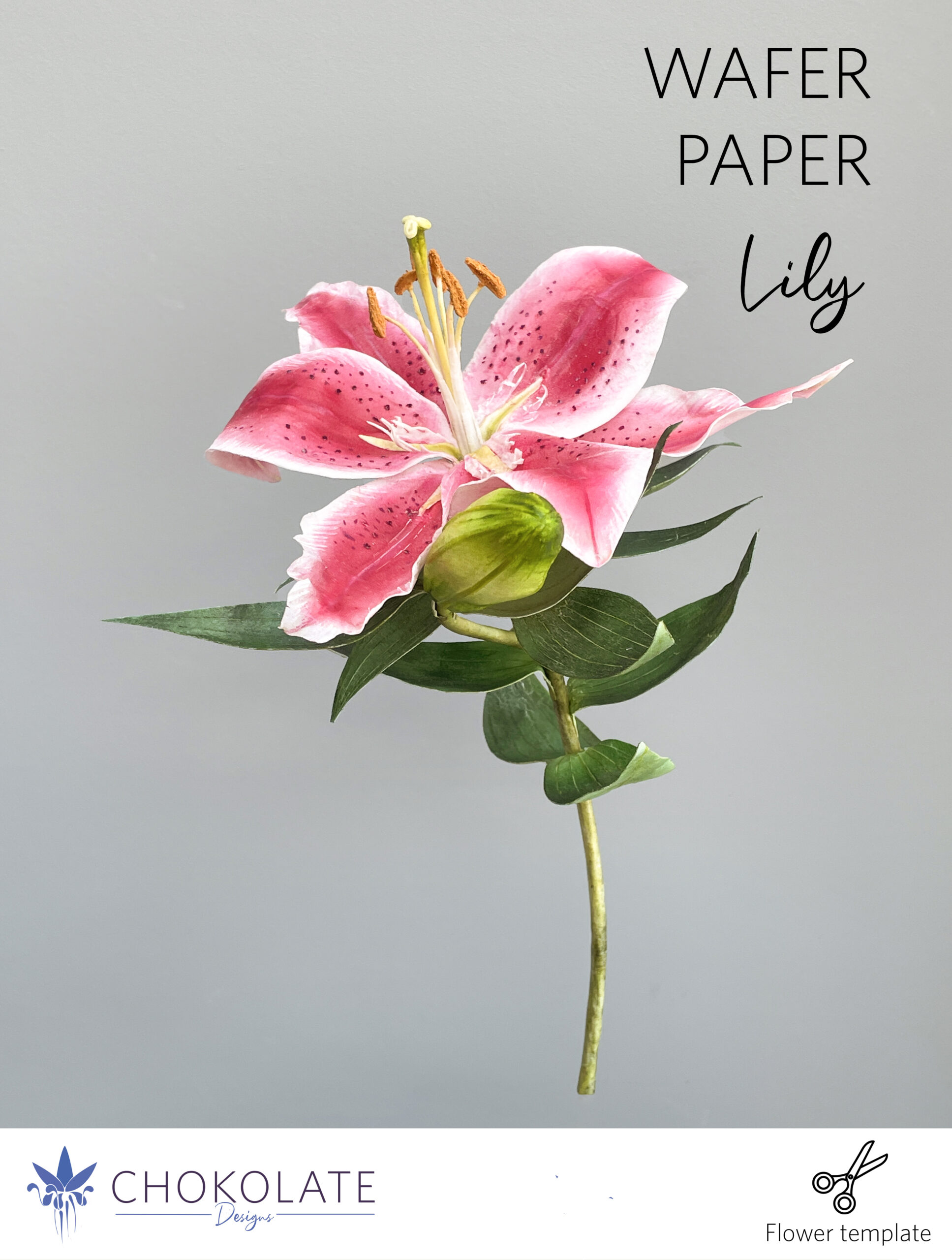 Lily Stargazer Template - Chokolate Designs