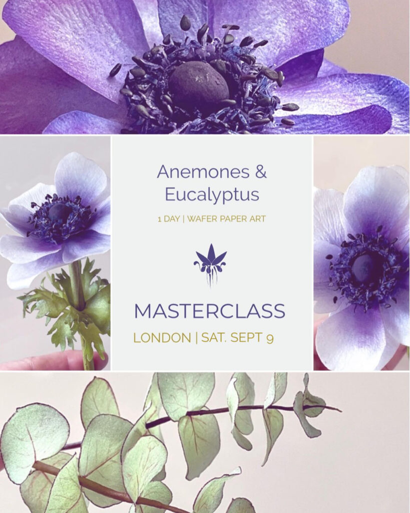 Class London Sept 9 Anemones