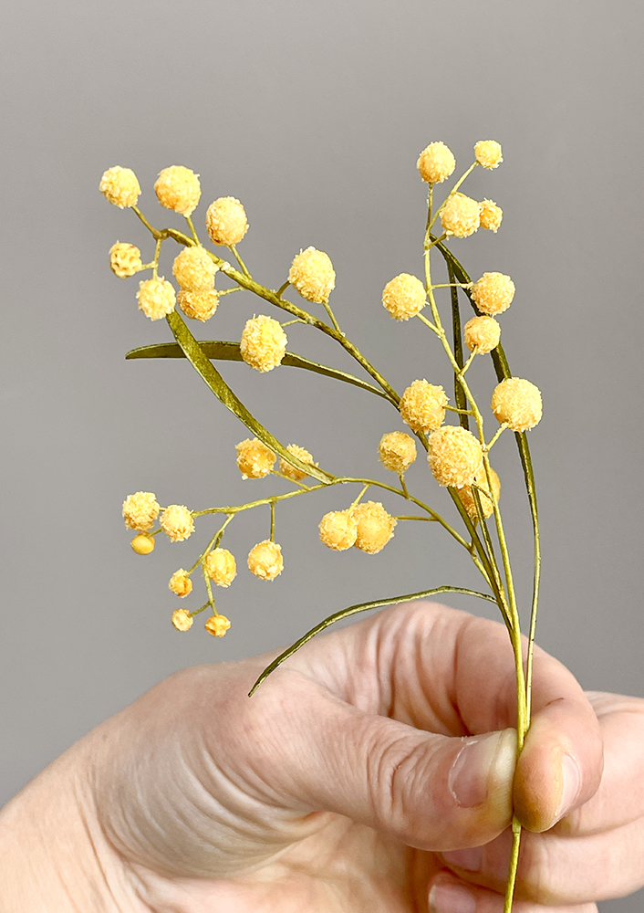 Mimosa demo