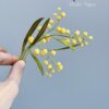 Mimosa Cover Product EN