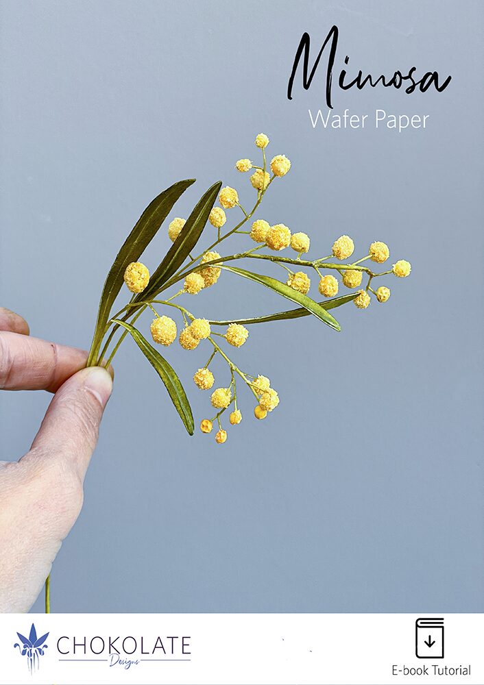 Mimosa Cover Product EN