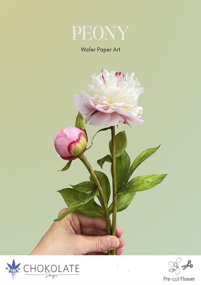 Peony Pre-cut template - Chokolate Designs