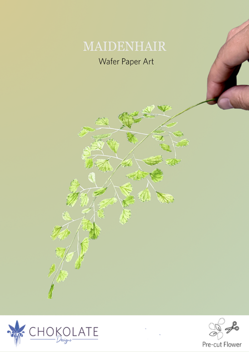 Pre-cut Maidenhair Foliage - Chokolate Designs