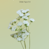 Pre-cut wafer paper template Queen Anne's Lace - Chokolate Designs