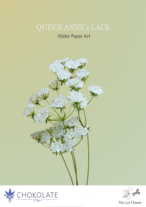 Pre-cut wafer paper template Queen Anne's Lace - Chokolate Designs