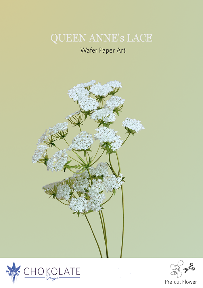 Pre-cut wafer paper template Queen Anne's Lace - Chokolate Designs