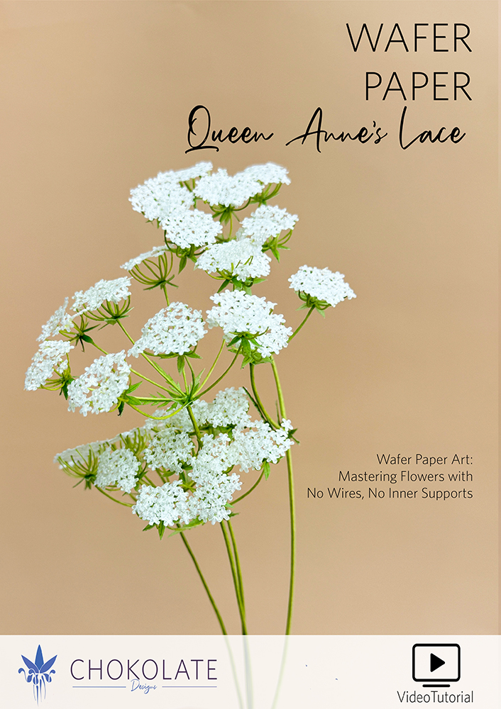 Queen Anne Lace Video - Chokolate Designs