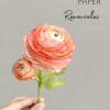 Ranunculus Template - Chokolate Designs