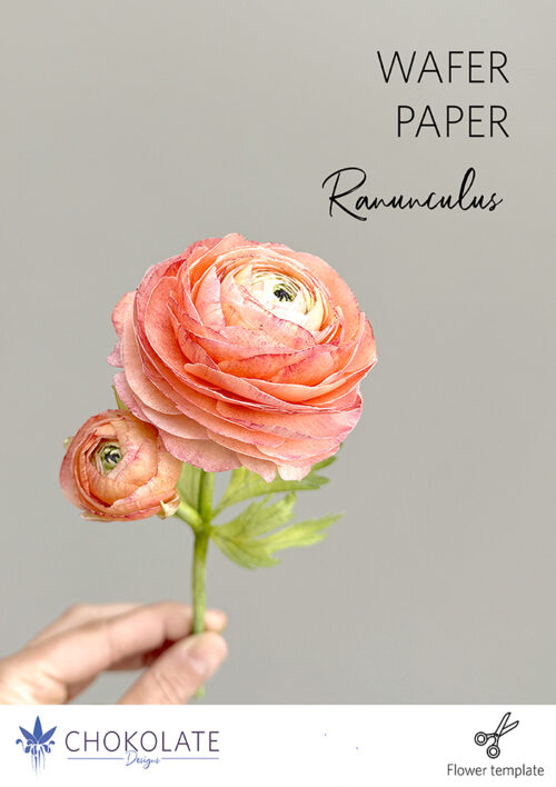 Ranunculus Template