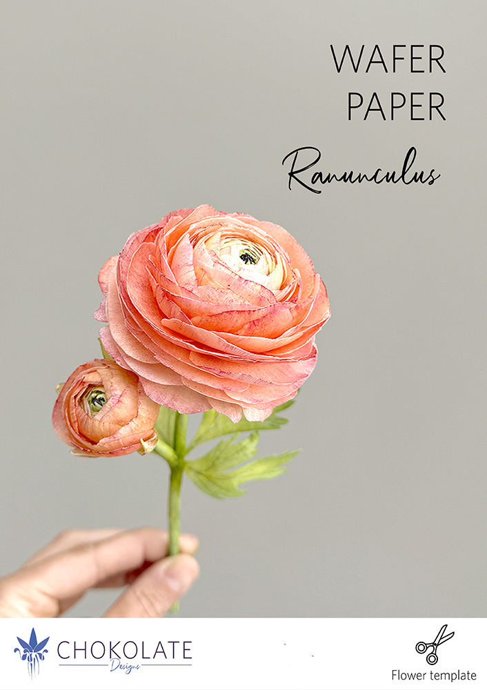 Ranunculus Template - Chokolate Designs