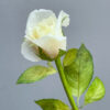 Precut Rose wafer paper - chokolate designs