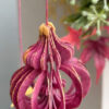 Baubles Zoom Wafer paper - Chokolate Designs