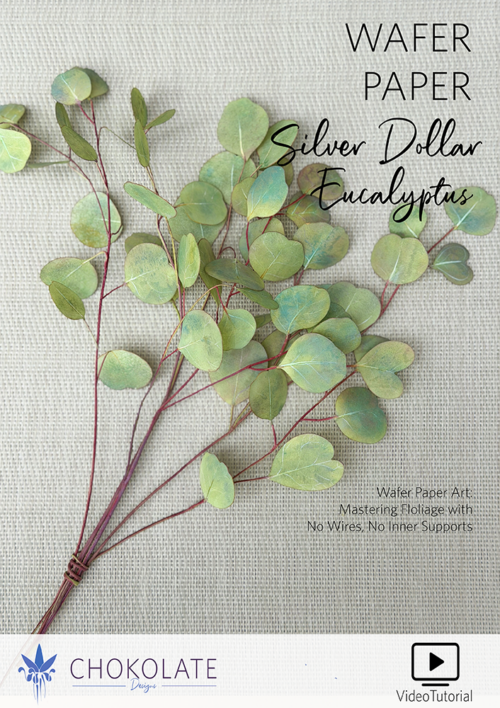 Wafer Paper Eucalyptus Video