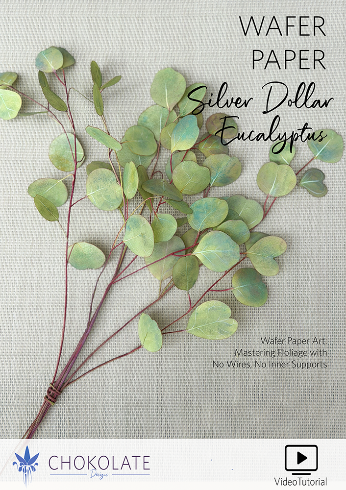 Eucalyptus Video - Chokolate Designs